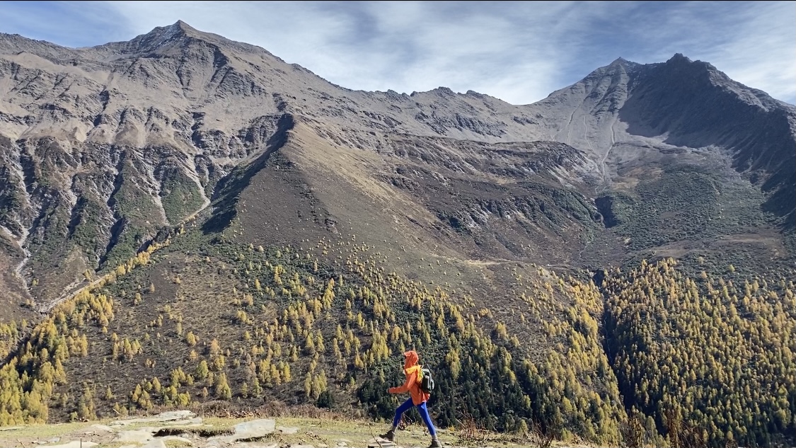稍早前搜索推广智能化升级您的数据分析系统:精准触达年轻用户的核心方式,抖音涨播放涨在线下单：短视频播放量提升与在线转化秘籍